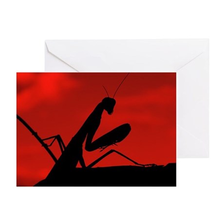 460x460 Preying Mantis Greeting Cards