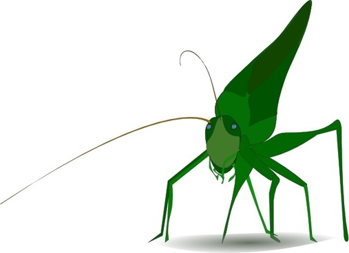 507x368 Vector Grasshopper For Free Download About (17) Vector Grasshopper
