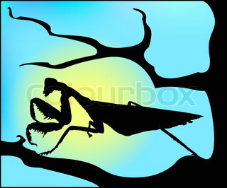 320x266 Vector Illustration Of Grasshopper Cartoon Stock Vector Colourbox