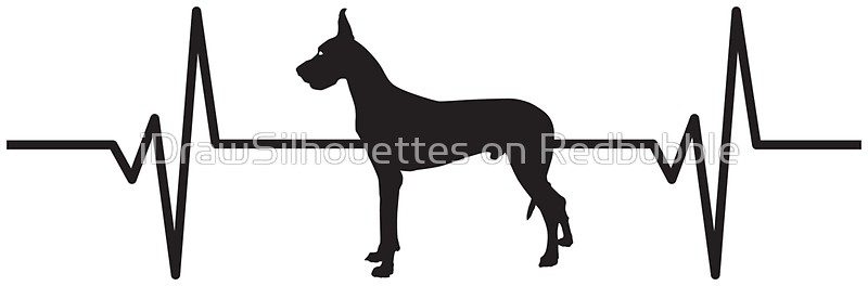 800x264 Heartbeat Pulse