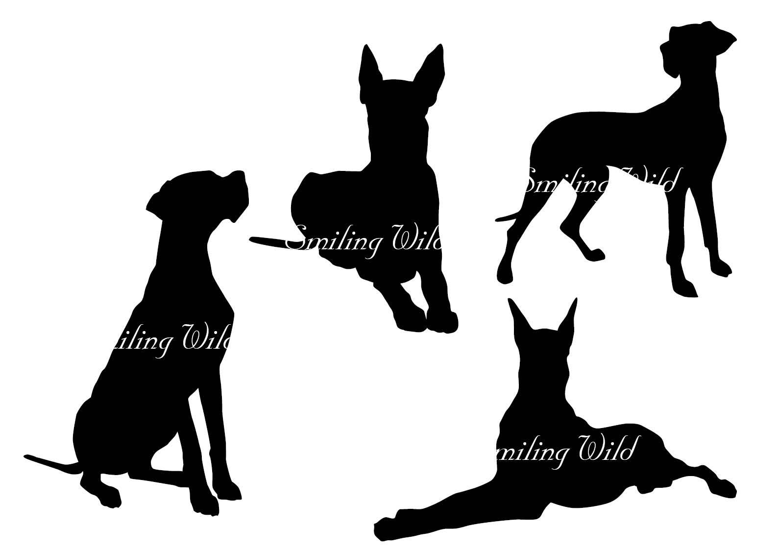 1588x1123 Great Dane Silhouette Svg Clipart Deutsche Dogge Silhouette German