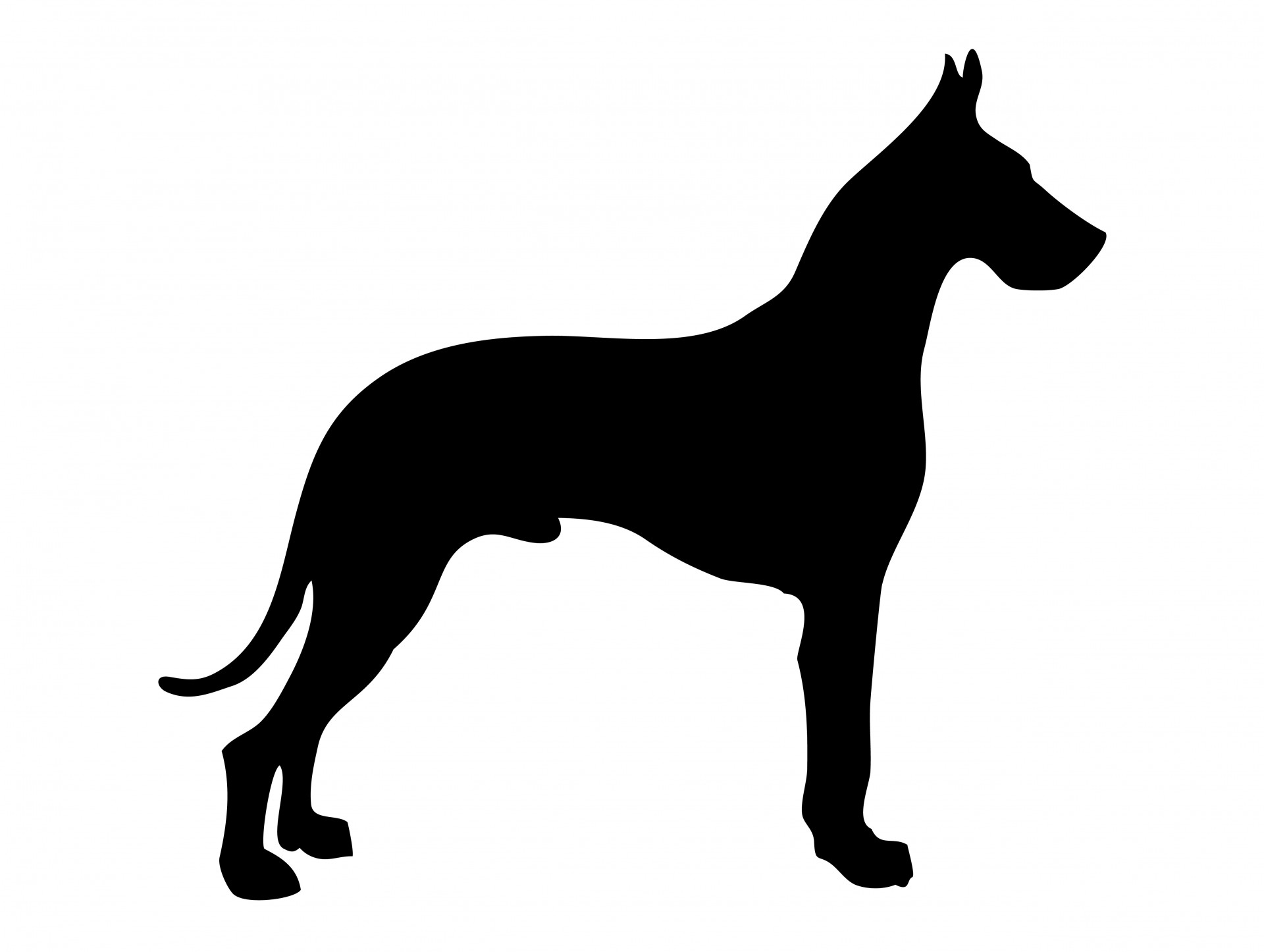 1920x1446 Dog Silhouette Great Dane Free Stock Photo