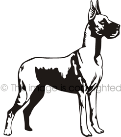 247x280 Great Dane Clipart 3581162