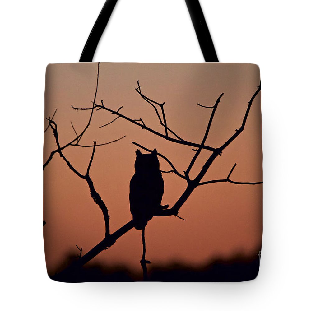 1000x1000 Great Horned Owl Silhouette Tote Bag For Sale By Peter Gray