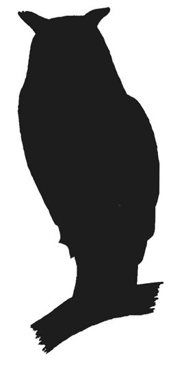250x531 Owl Silhouette Halloween Owl Silhouette
