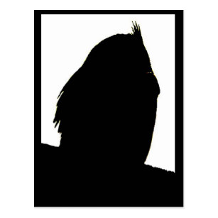 307x307 Owl Silhouette Postcards Zazzle