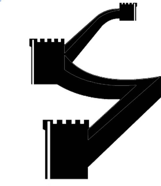 559x649 American Immigration The Chinese Final