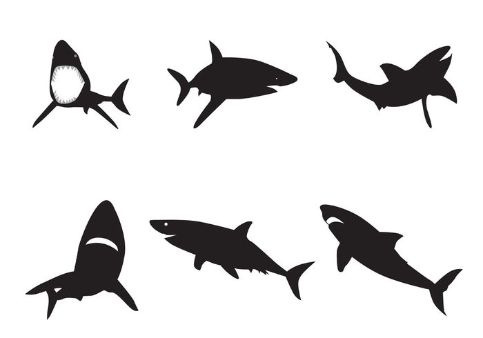 700x490 Vector Shark Silhouettes