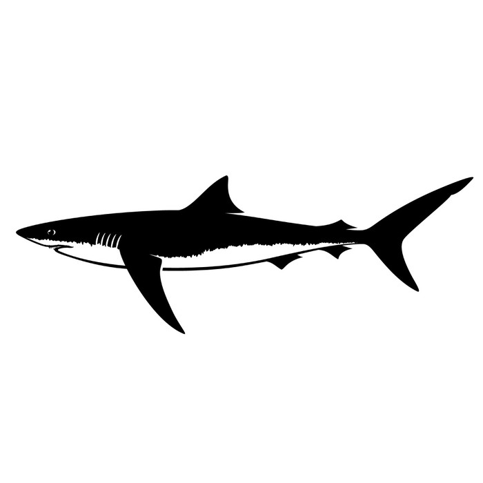 700x700 Blue Shark Silhouette Isolated On White Wall Mural We