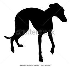 236x226 Italian Greyhound Clipart