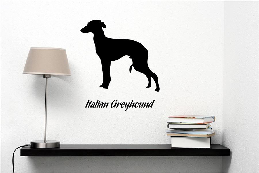 900x601 List Of Synonyms And Antonyms Of The Word Italian Greyhound