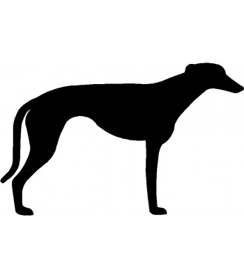 350x400 Dog Welcome Sign Breed Greyhound