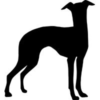 200x200 Whippet Head Silhouette