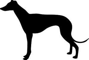 300x203 New Greyhound Silhouette Sticker Dog Breed Stickers Car Decals Van