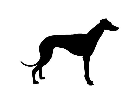 570x428 Greyhound Dog Breed Silhouette Custom Die Cut Vinyl Decal