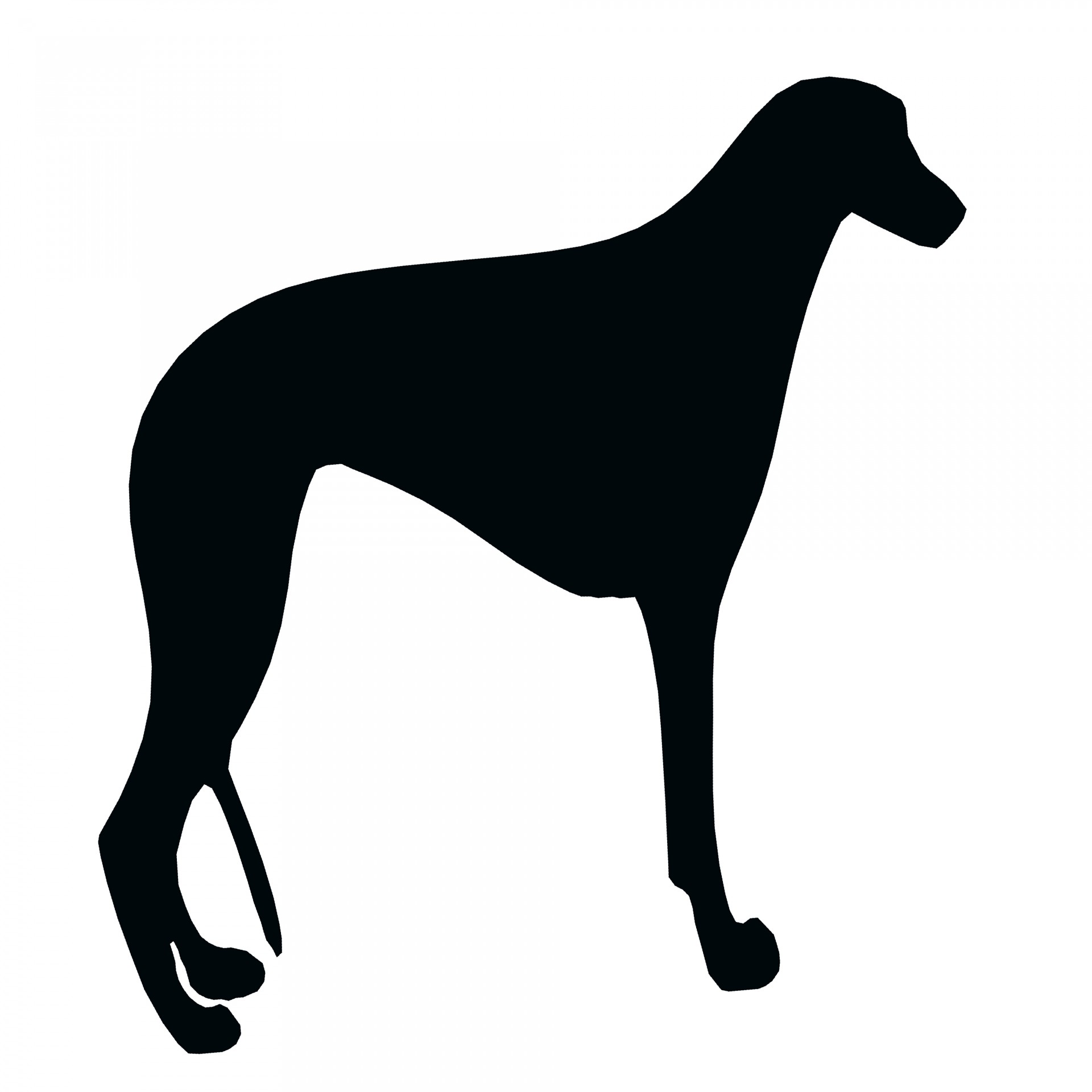 1920x1920 Greyhound Silhouette Free Stock Photo