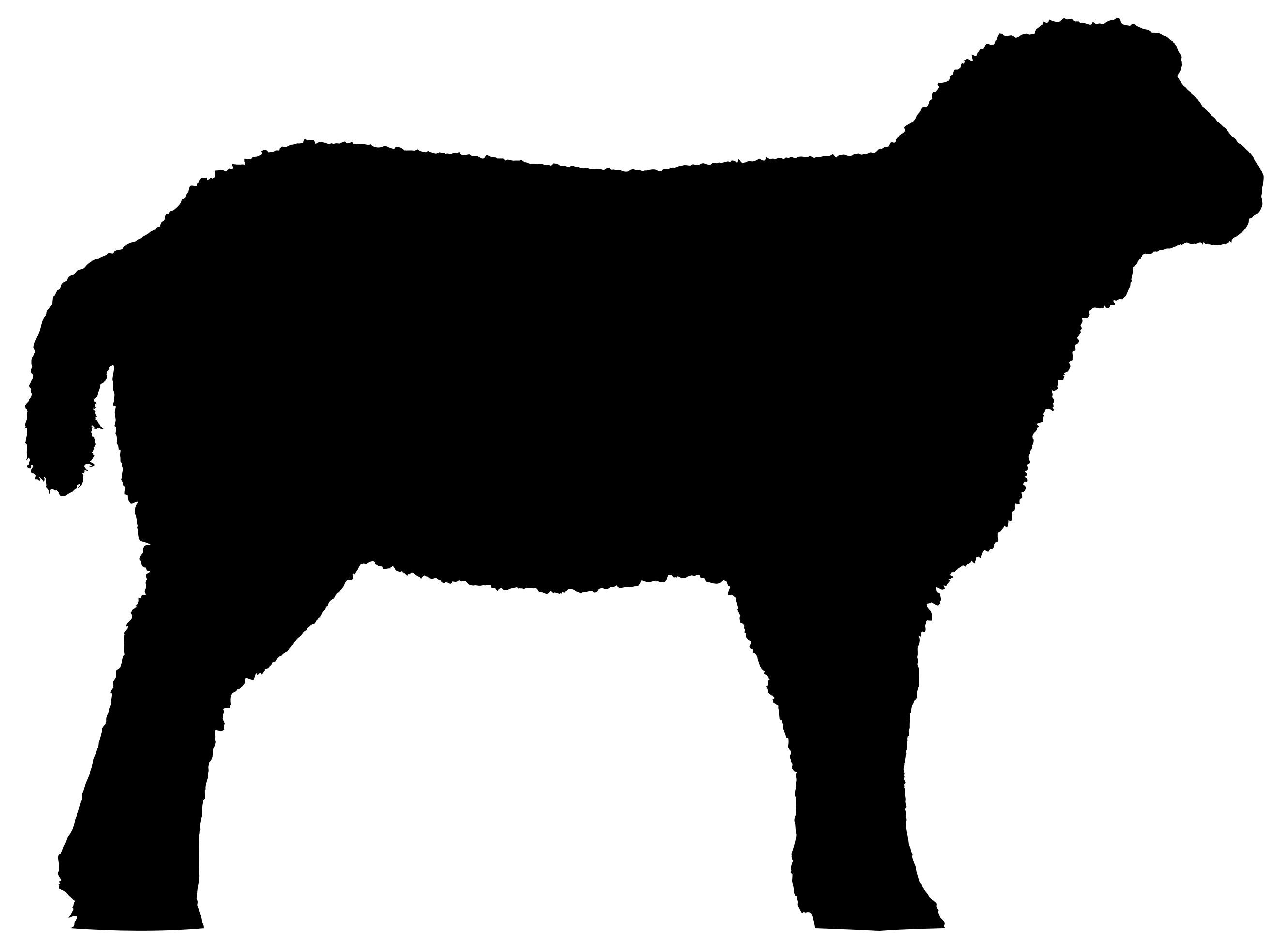 2660x1954 Detailed Sheep Silhouette Clipart