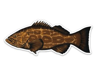340x270 Grouper Decal Etsy