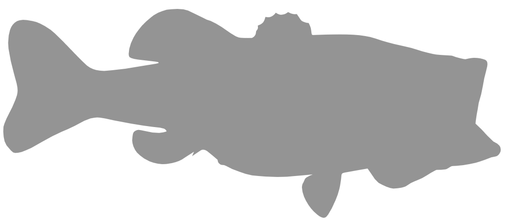 1024x447 Largemouth Bass Blanks