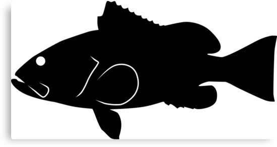 550x292 Red Grouper Fish Silhouette (Black) Canvas Prints By