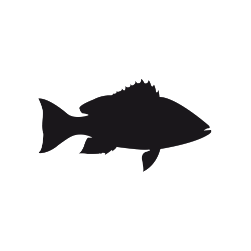 Grouper Silhouette at GetDrawings | Free download