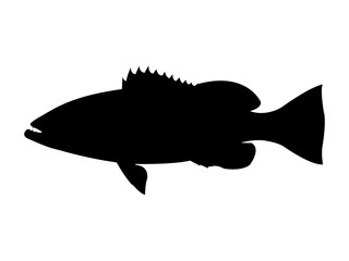 320x240 Search Photos By Martin Stiavnicky