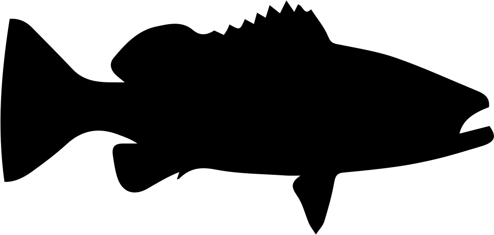 981x468 Warsaw Grouper Fish Shape Svg Png Icon Free Download ( 73402