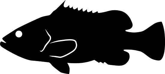 550x246 Warsaw Grouper Fish Silhouette (Black) Photographic Prints By