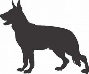 310x256 Pin Jacklin Hinds Goines Taulussa Doggy Love