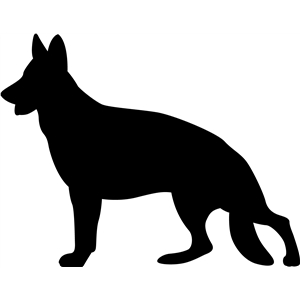 300x300 Silhouette Design Store