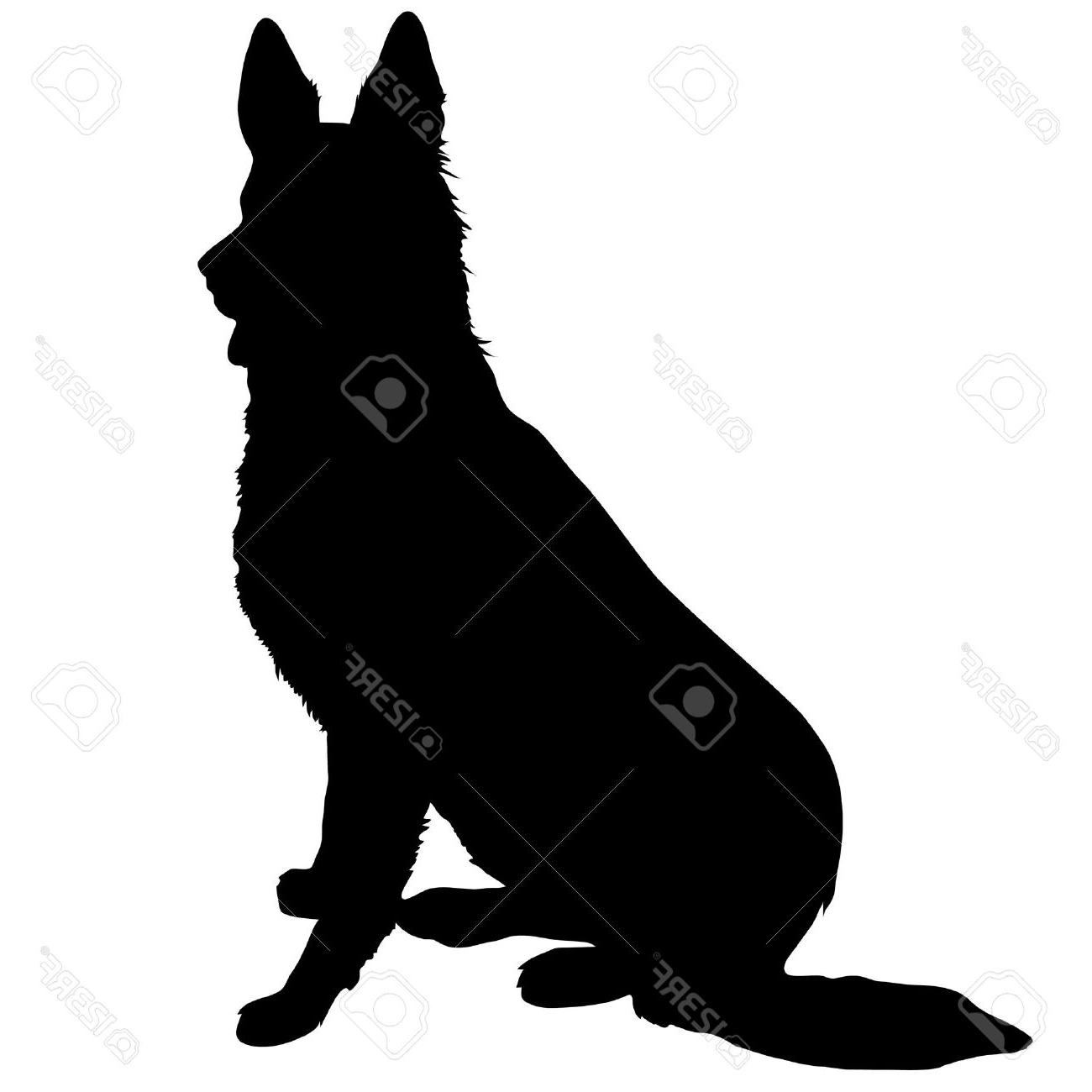 1300x1300 Top Sitting German Shepherd Silhouette Images