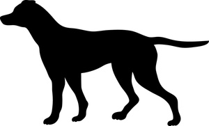 300x181 Clipart Pointer Dog
