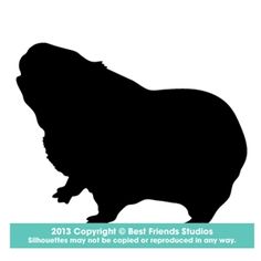 236x236 Perro Sin Pelo Del Peru