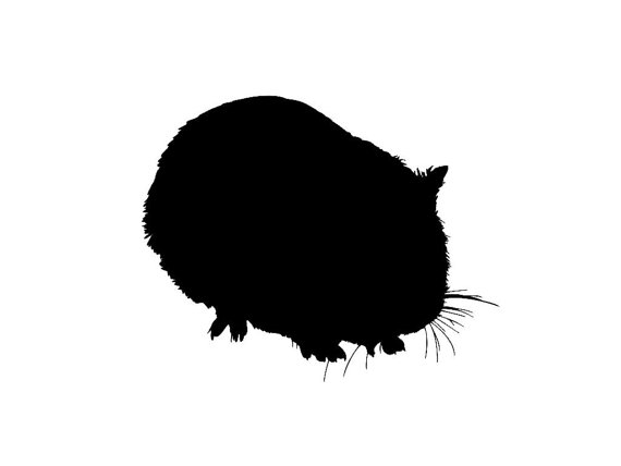 570x428 Guinea Pigs Silhouettes