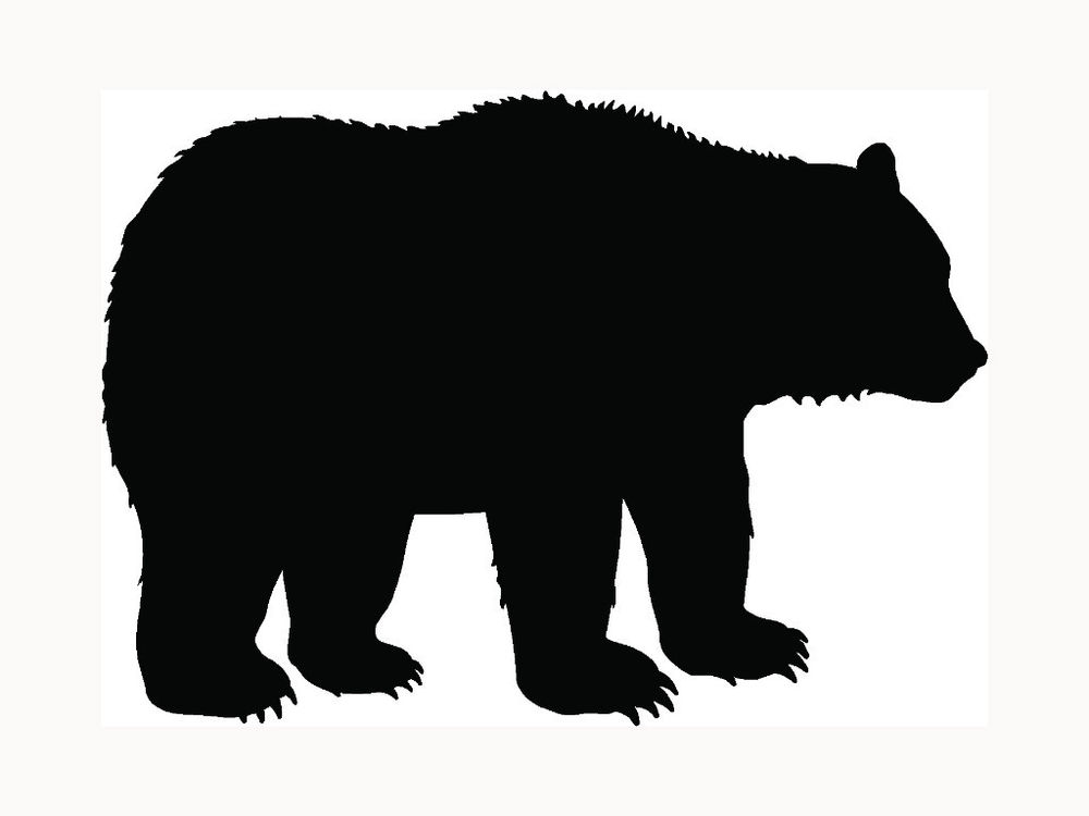 1000x750 Stickers For Bear Arms Grizzly Bear Bumper Sticker