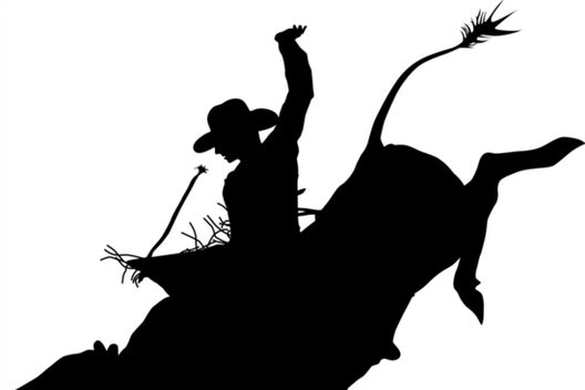 528x352 Rodeo Theme