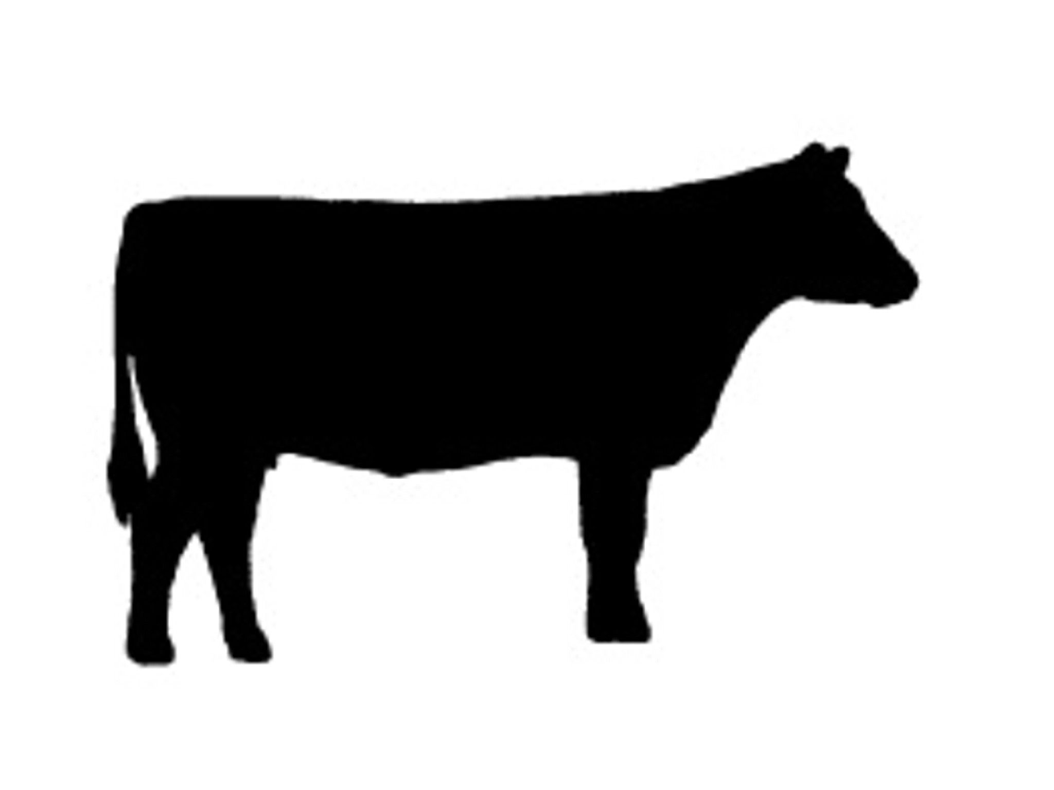 2048x1536 Buncombe County 4 H Kiwanis Calf Chain Clip Art, Cow And Silhouettes