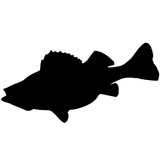 160x160 Halibut Silhouette Vector Illustration Stock Image And Royalty