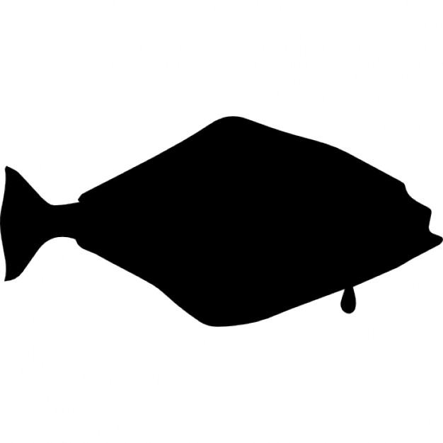 626x626 Halibut Fish Shape Icons Free Download