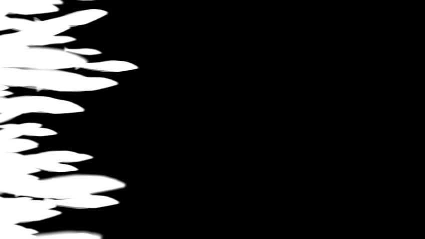 852x480 Shoal Of Fish Free Stock Video Footage Download Clips