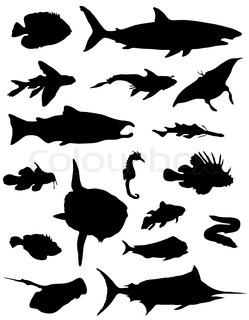 249x320 Silhouette Of Eel Stock Vector Colourbox