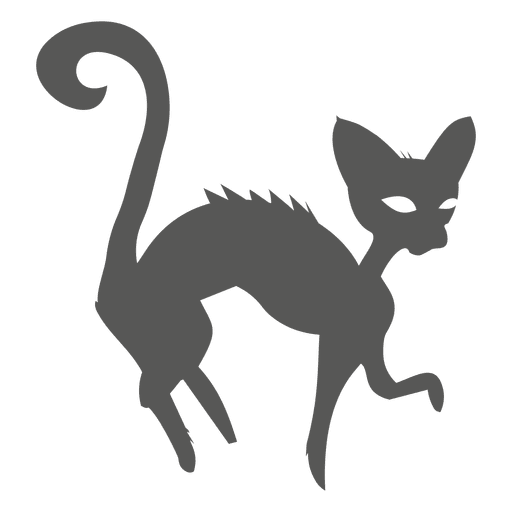 512x512 Halloween Witch Cat Silhouette
