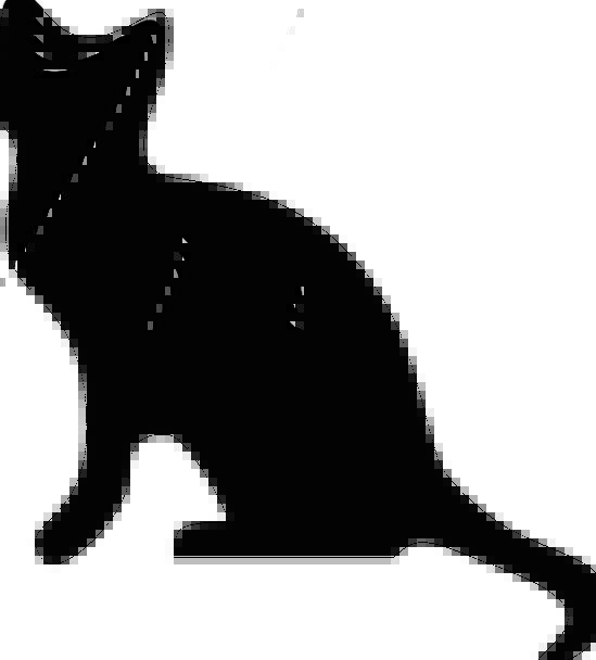 549x608 Cat, Dark, Silhouette, Outline, Black, Pussycat, Sitting