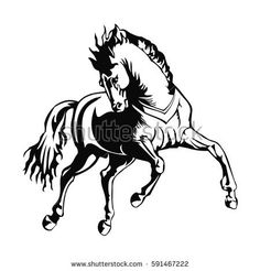 236x246 Halter Horse Clipart