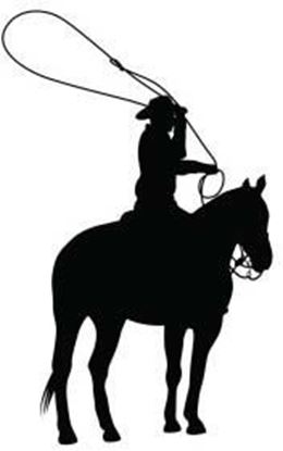 260x415 Wild Horse Wallz. Ropers2