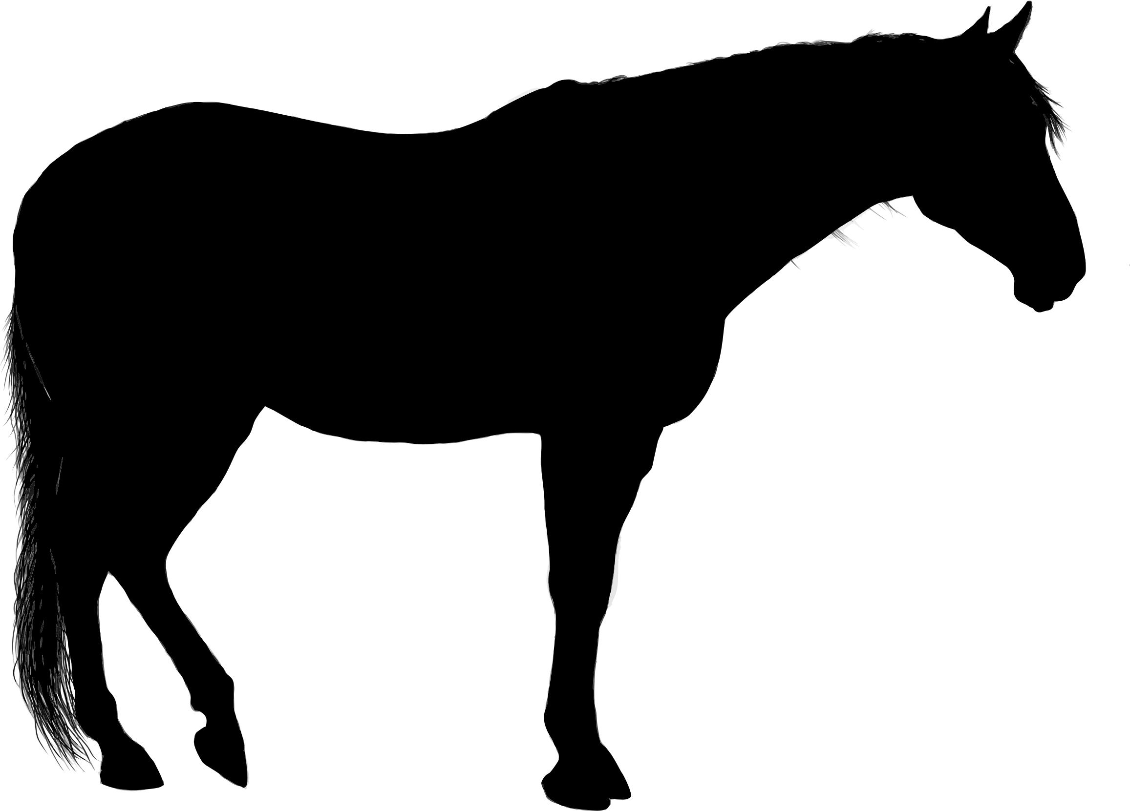2313x1661 Free Horse Icons Png, Horse Images