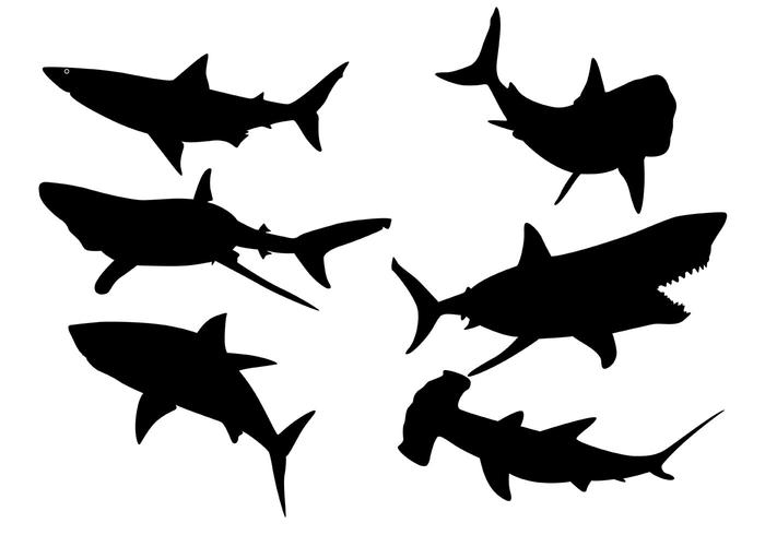 700x490 Hammerhead Sharks Vector Silhouettes