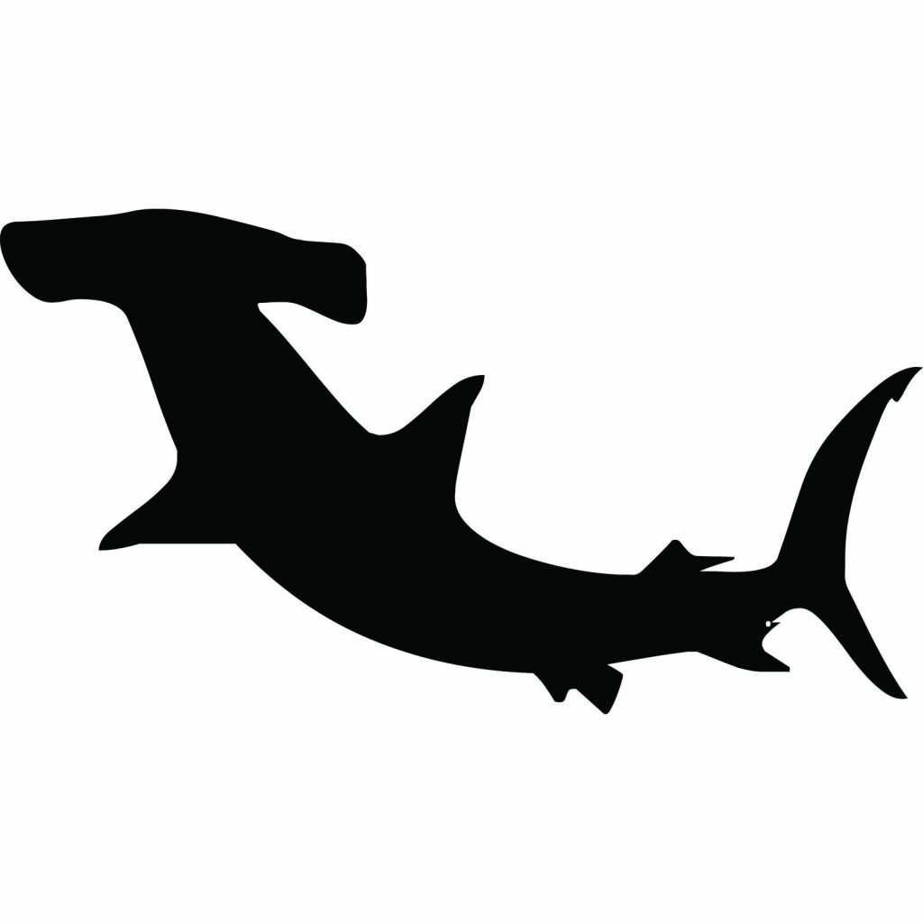 1024x1024 Top Hammerhead Shark Clipart Drawing
