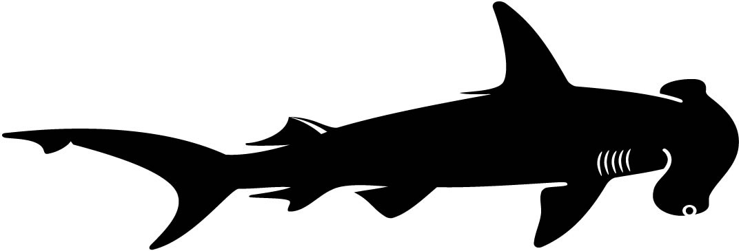 1075x365 Hammerhead Shark Fish Silhouette Wall Decal Wallmonkeys