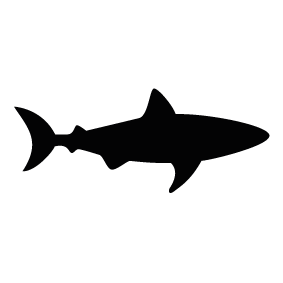 The best free White shark silhouette images. Download from 8635 free ...